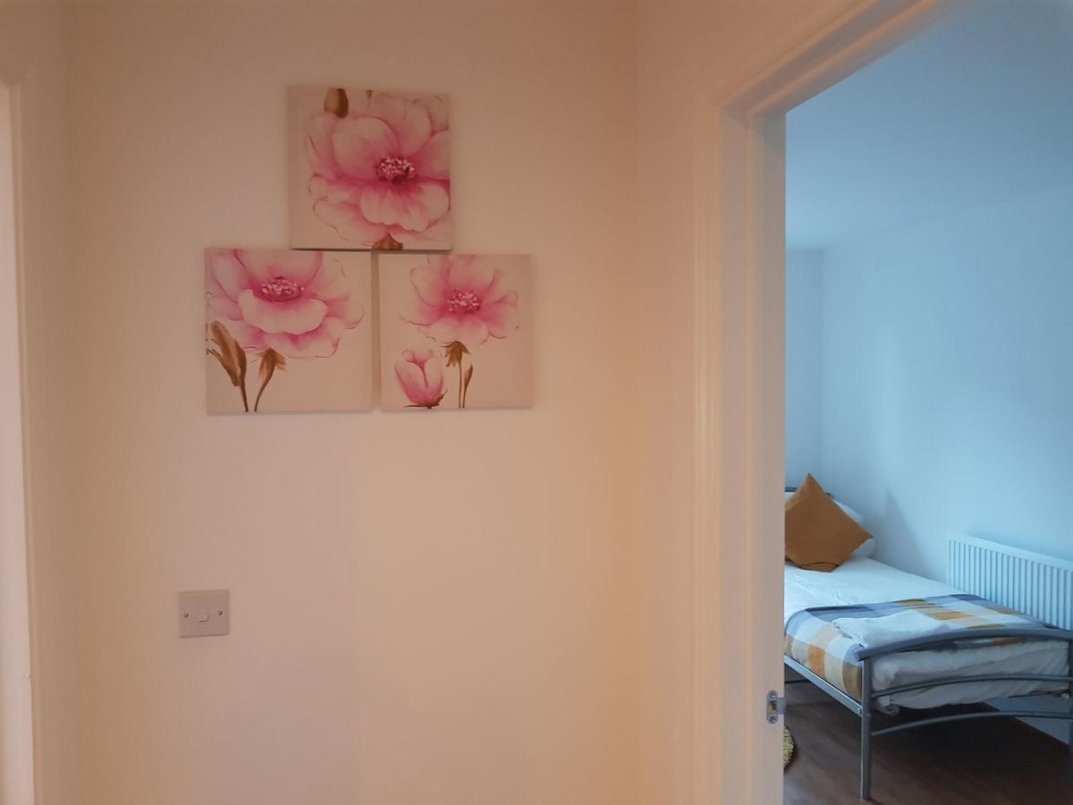 Vetrelax Chelmsford Apartment מראה חיצוני תמונה